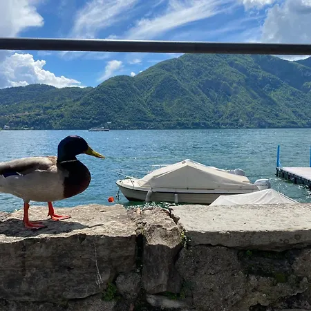 Life Is Good - Front In *