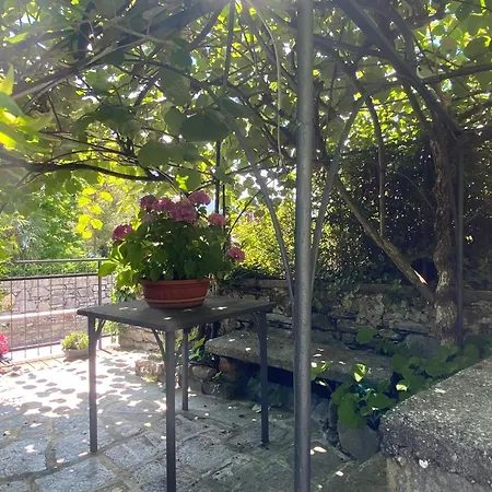 Life Is Good - Front In Apartamento Tremezzo