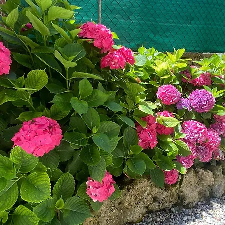 Apartament Life Is Good - Front In Tremezzo