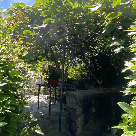 Apartament Life Is Good - Front In Tremezzo